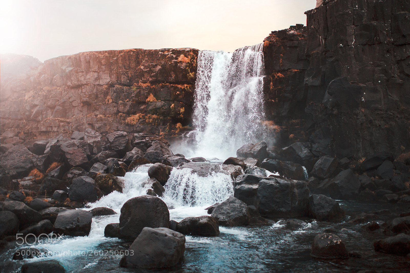 Canon EOS 6D sample photo. The wonders of nature photography