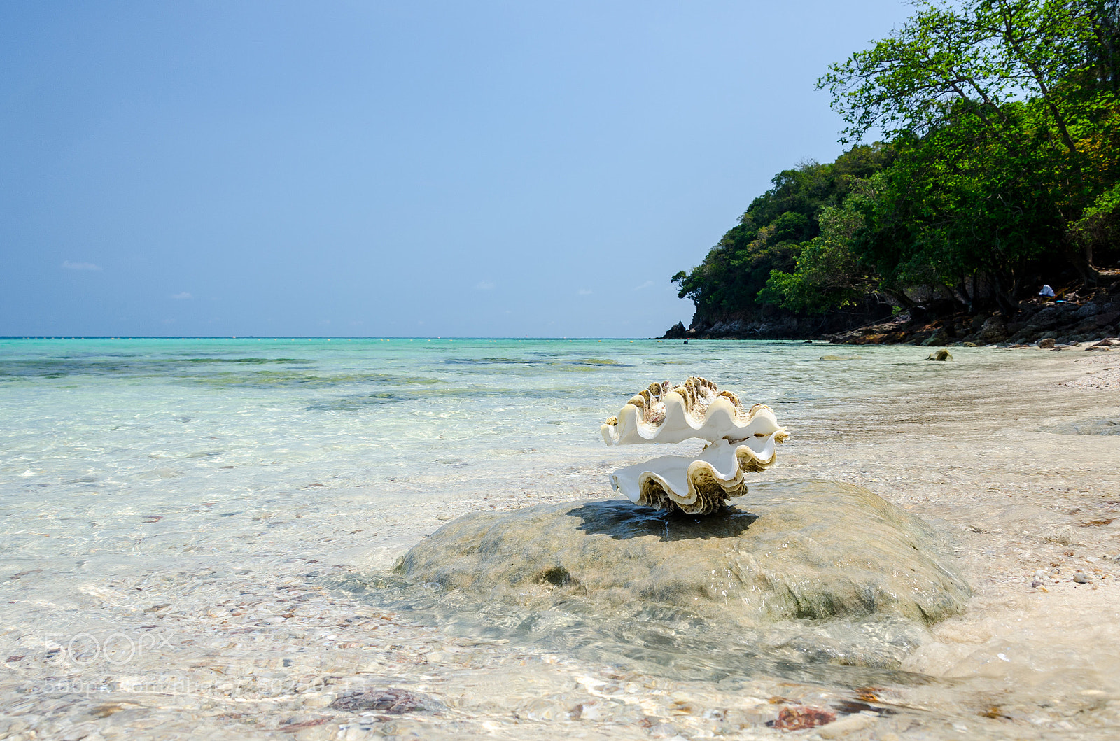 Nikon D7000 sample photo. Coast photography