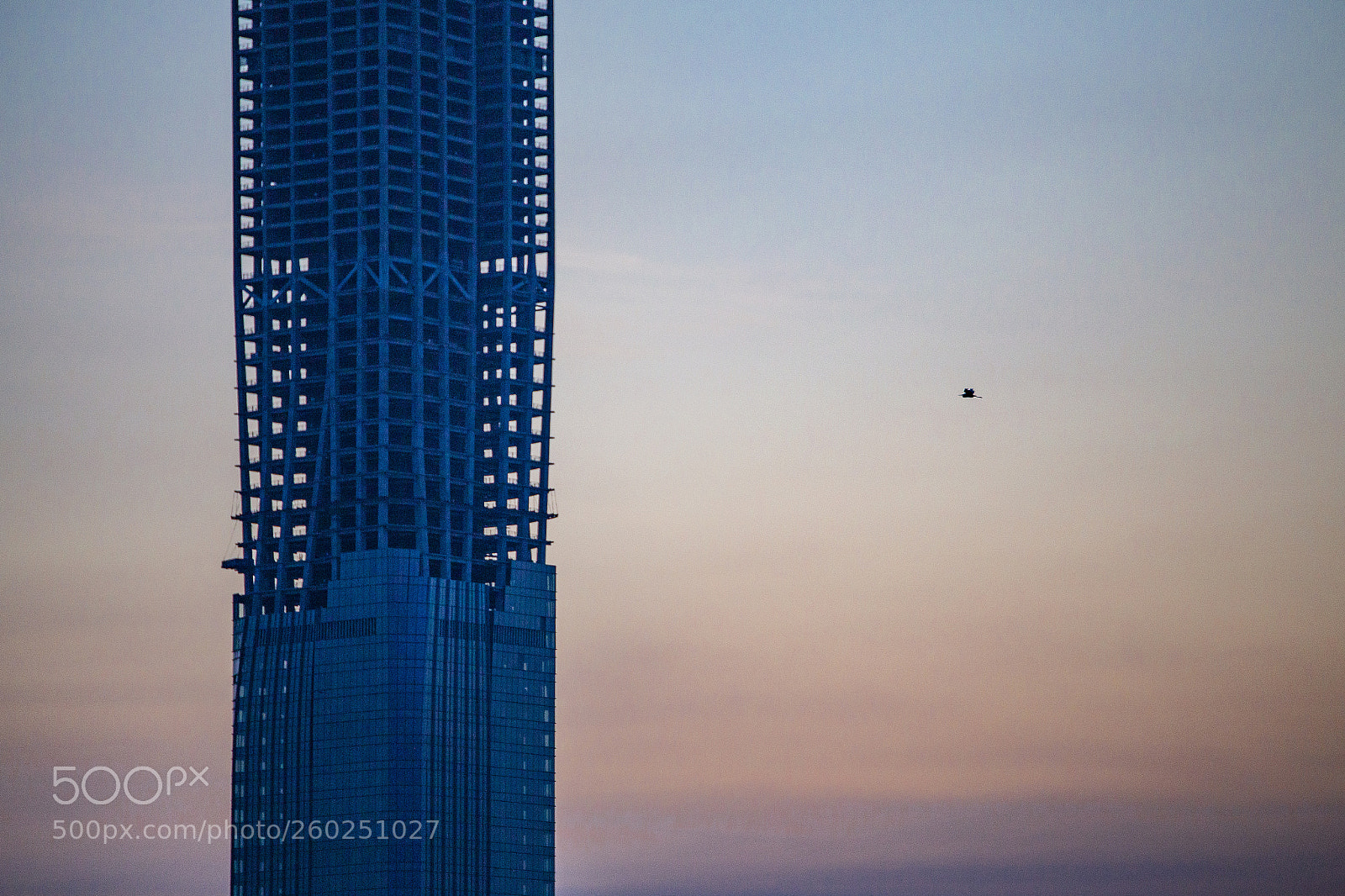 Canon EOS 6D sample photo. Untitled photography