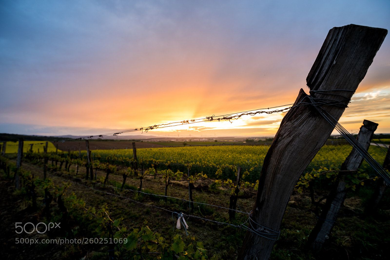 Canon EOS 6D Mark II sample photo. Güterweg photography