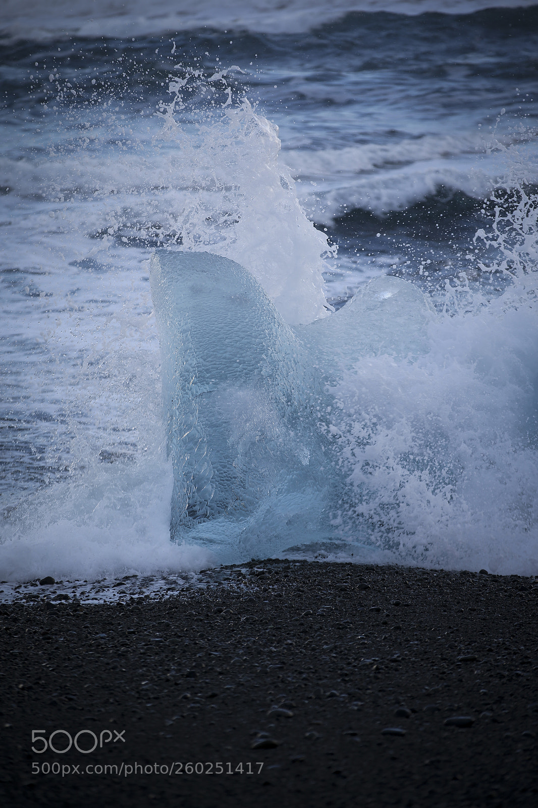 Canon EOS-1D X sample photo. Bk photography