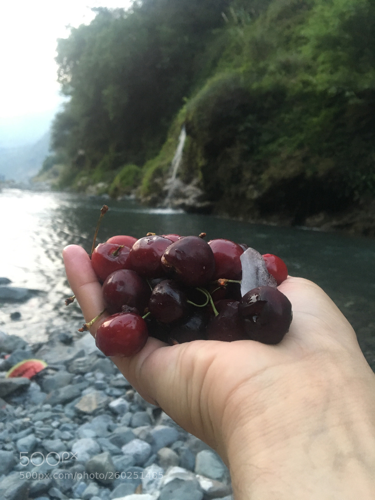 Apple iPhone 6s sample photo. Untitled photography