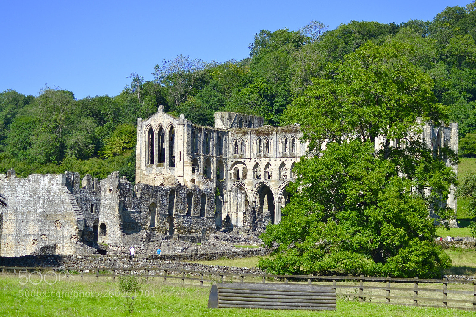 Nikon D3100 sample photo. Rievaulx abbey, yorkshire photography