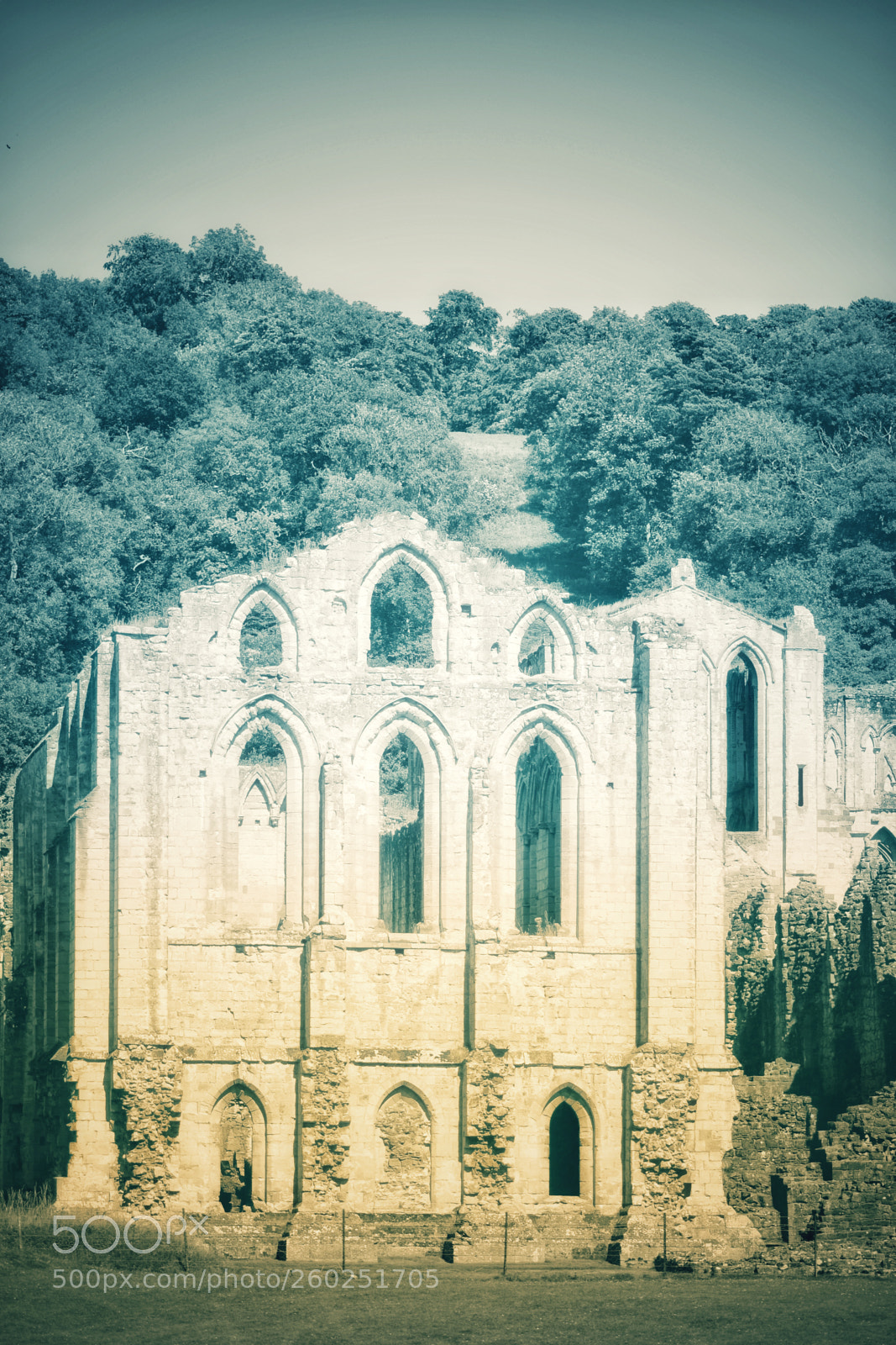 Nikon D3100 sample photo. Rievaulx abbey, yorkshire photography