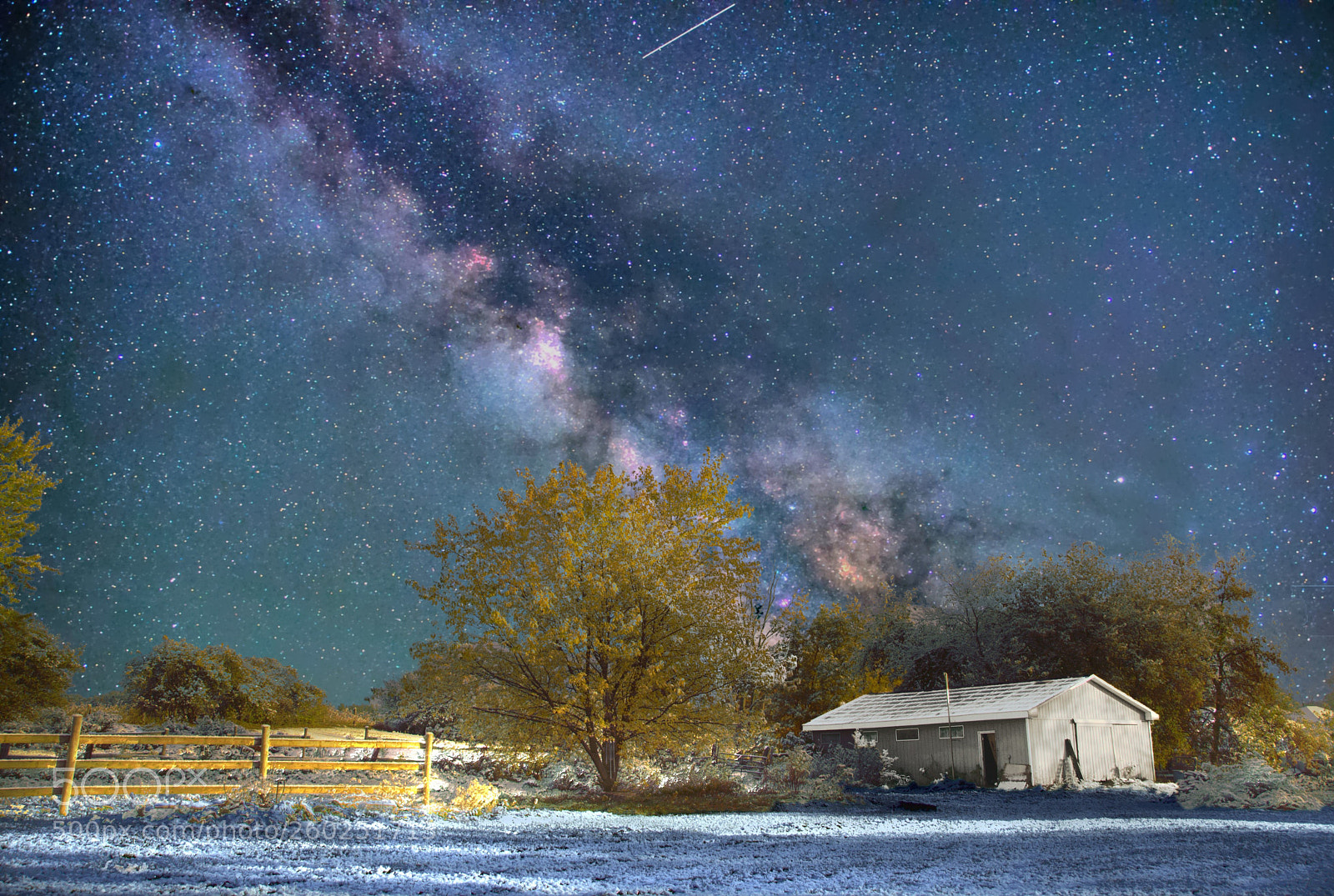Nikon D600 sample photo. Milky photography