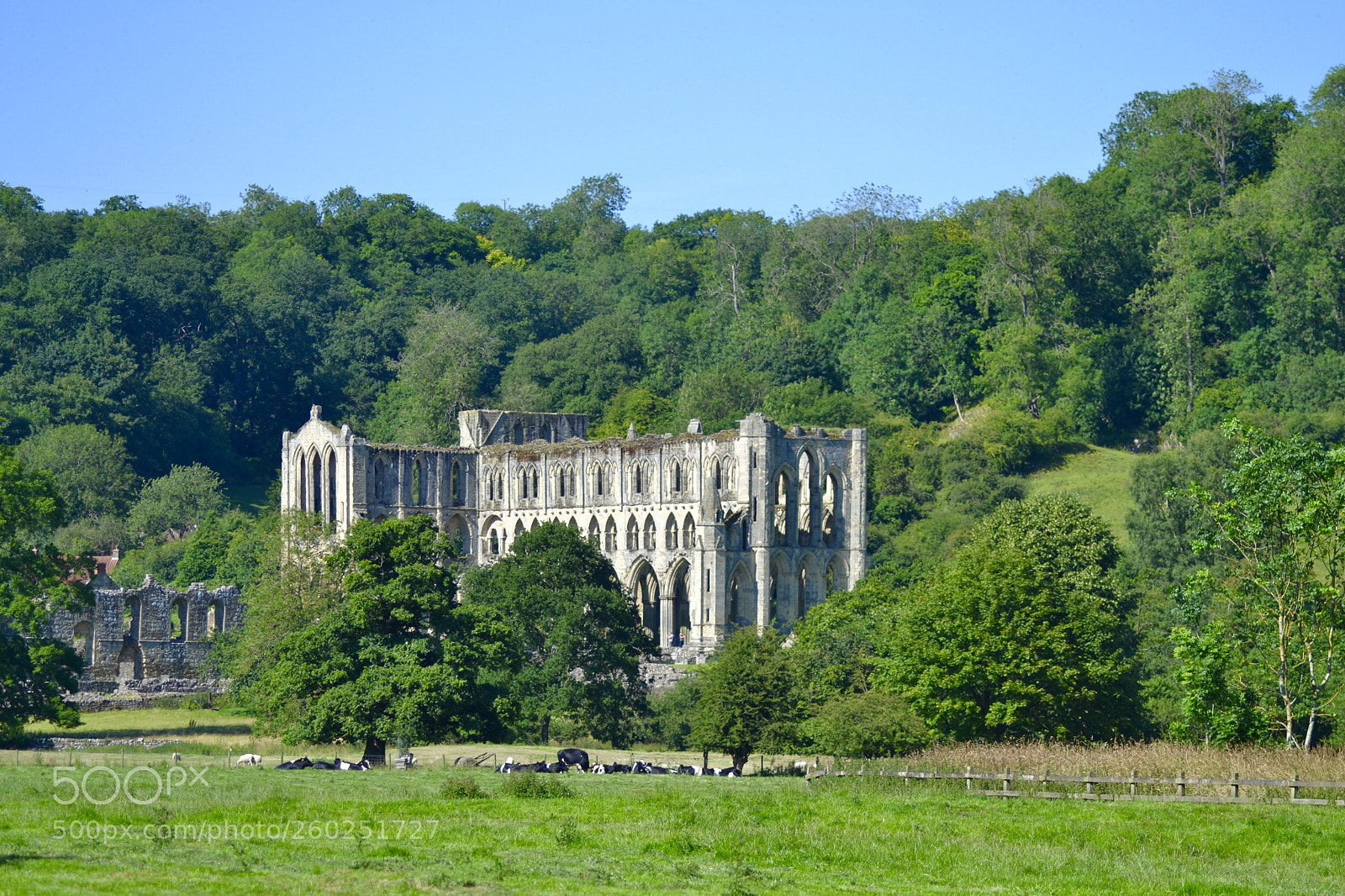 Nikon D3100 sample photo. Rievaulx abbey, yorkshire photography