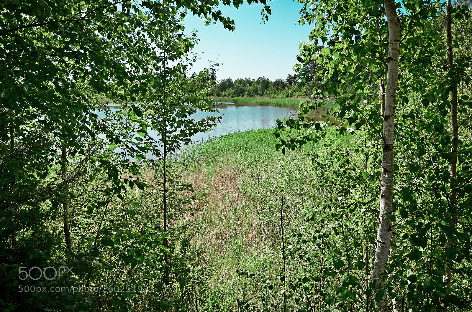 Nikon D5100 sample photo. Hot may photography