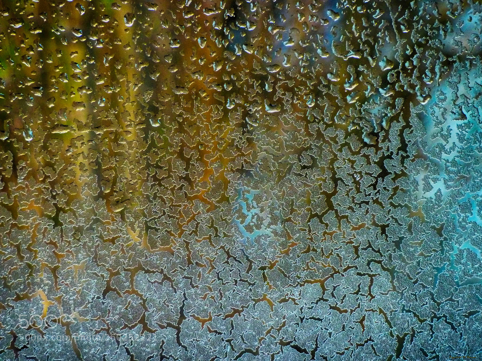 Panasonic DMC-TZ7 sample photo. Frozen glass photography
