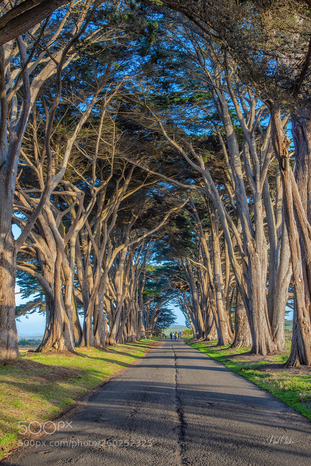 Nikon D810 sample photo. Tunnel view photography