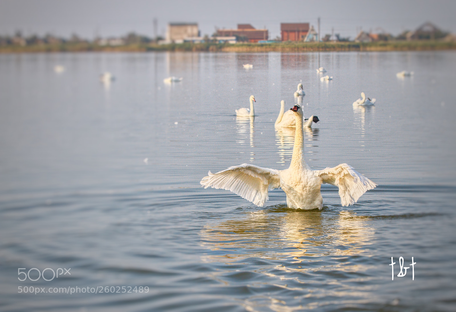 Canon EOS 7D sample photo. Untitled photography