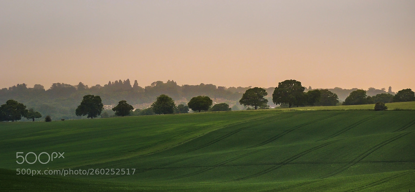 Olympus OM-D E-M1 sample photo. Rolling hills at dusk photography