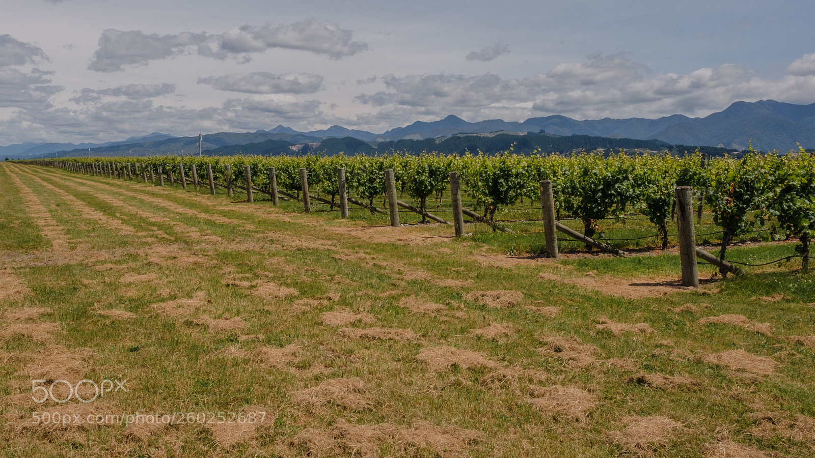 Fujifilm X-T2 sample photo. Stoneleigh photography
