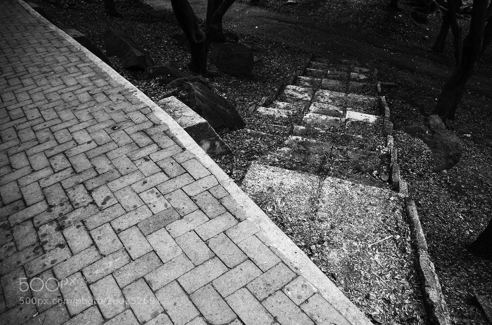 Pentax K-50 sample photo. Untitled photography