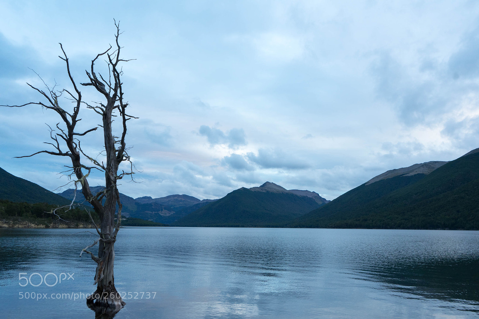 Sony a7 II sample photo. Dsc photography