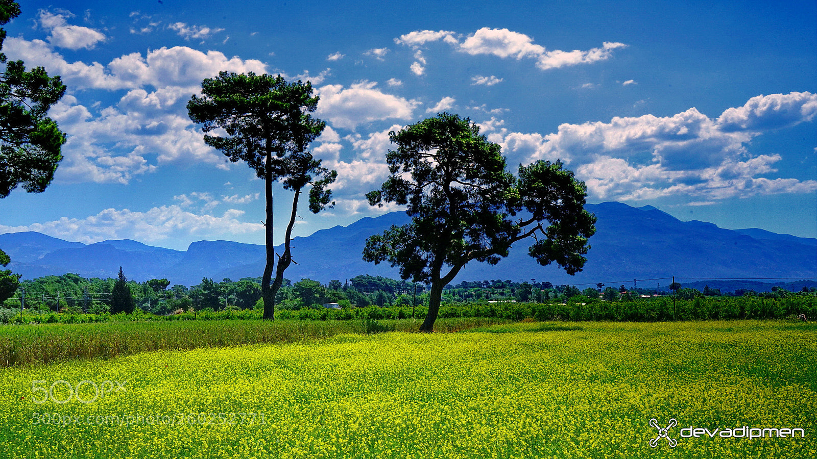 Sony a7R II sample photo. Cool and hot / 310518057 photography