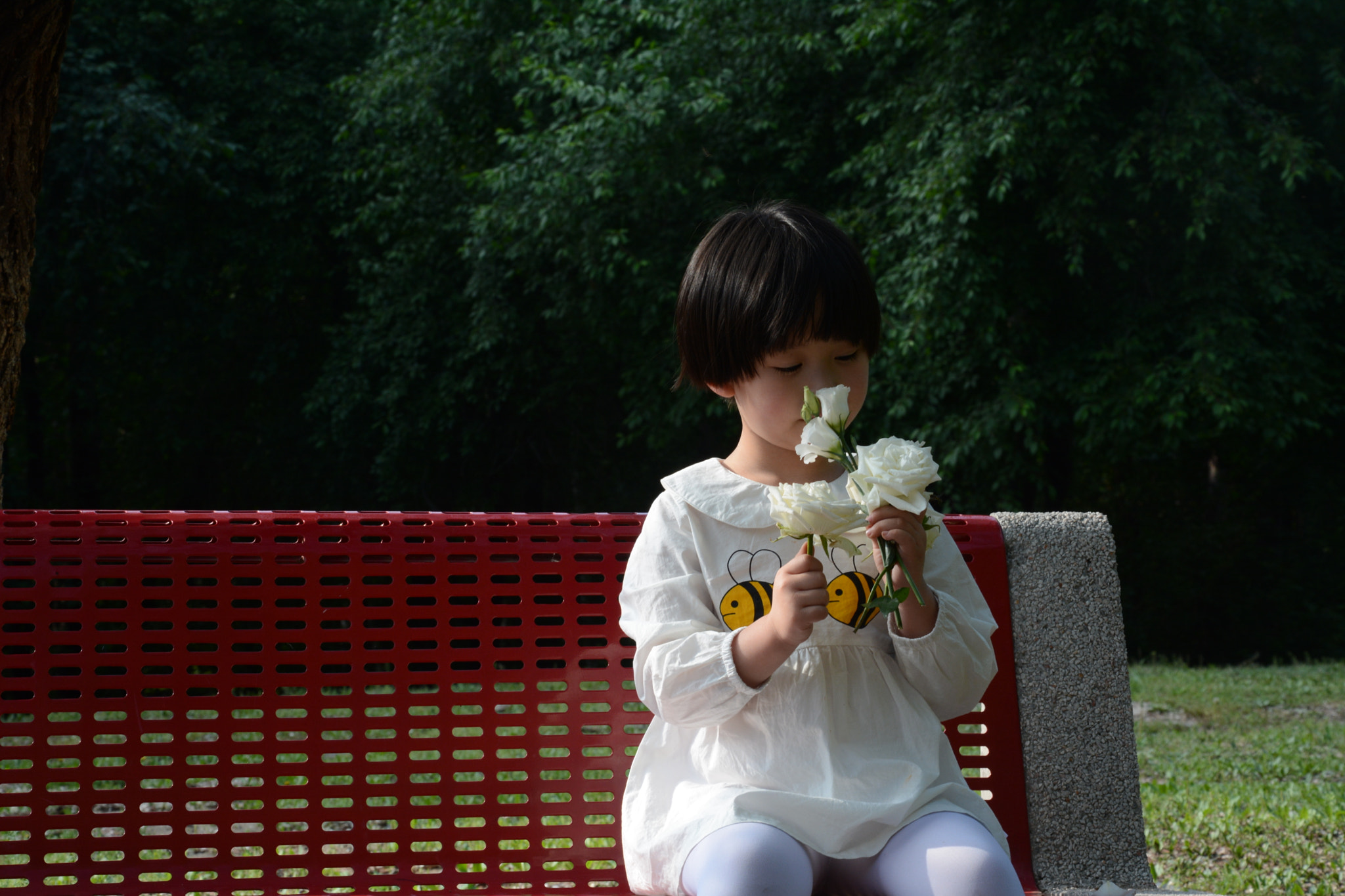 Nikon D7100 sample photo