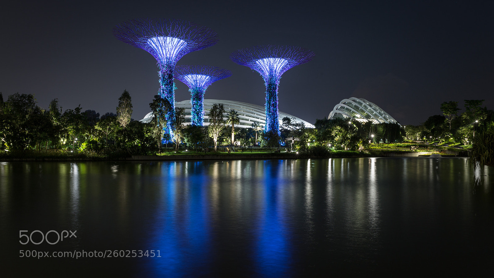 Canon EOS 6D sample photo. "silver garden" in singapore photography