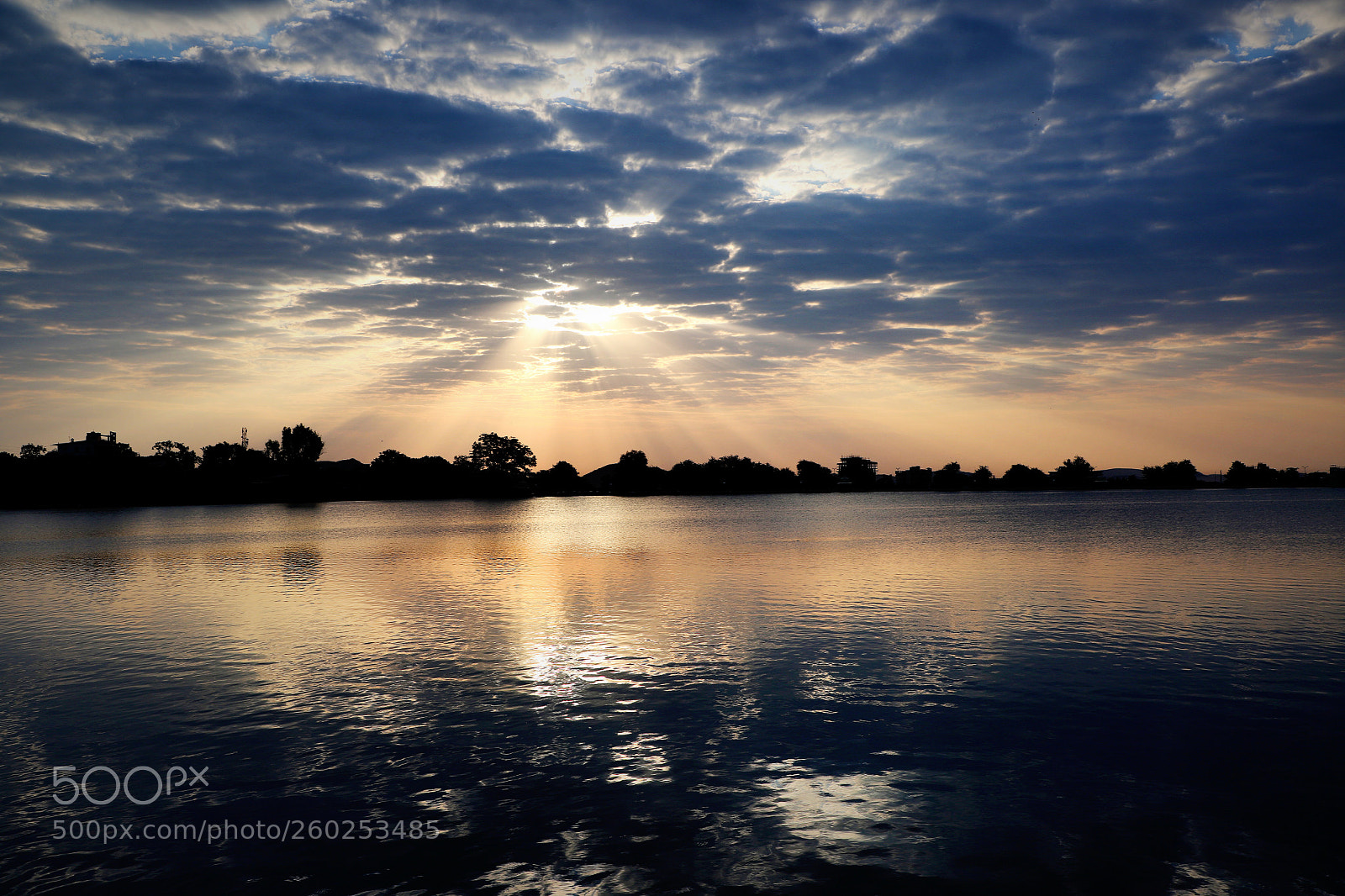 Canon EOS 6D Mark II sample photo. Untitled photography