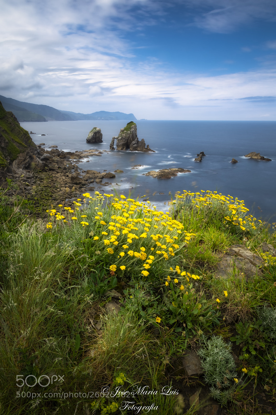 Nikon D850 sample photo. Marine colors photography