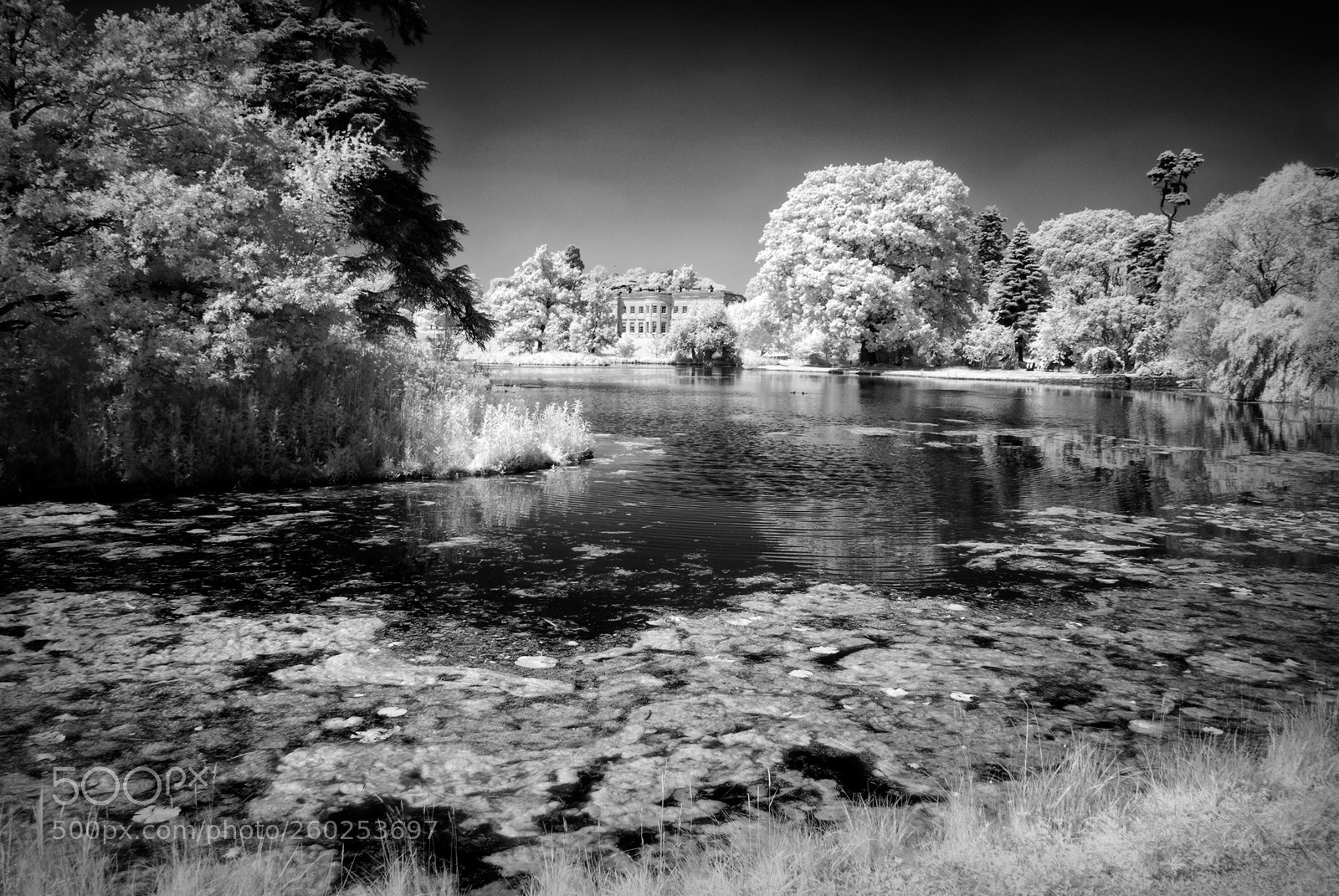 Sony Alpha DSLR-A100 sample photo. Spetchley park view towards photography