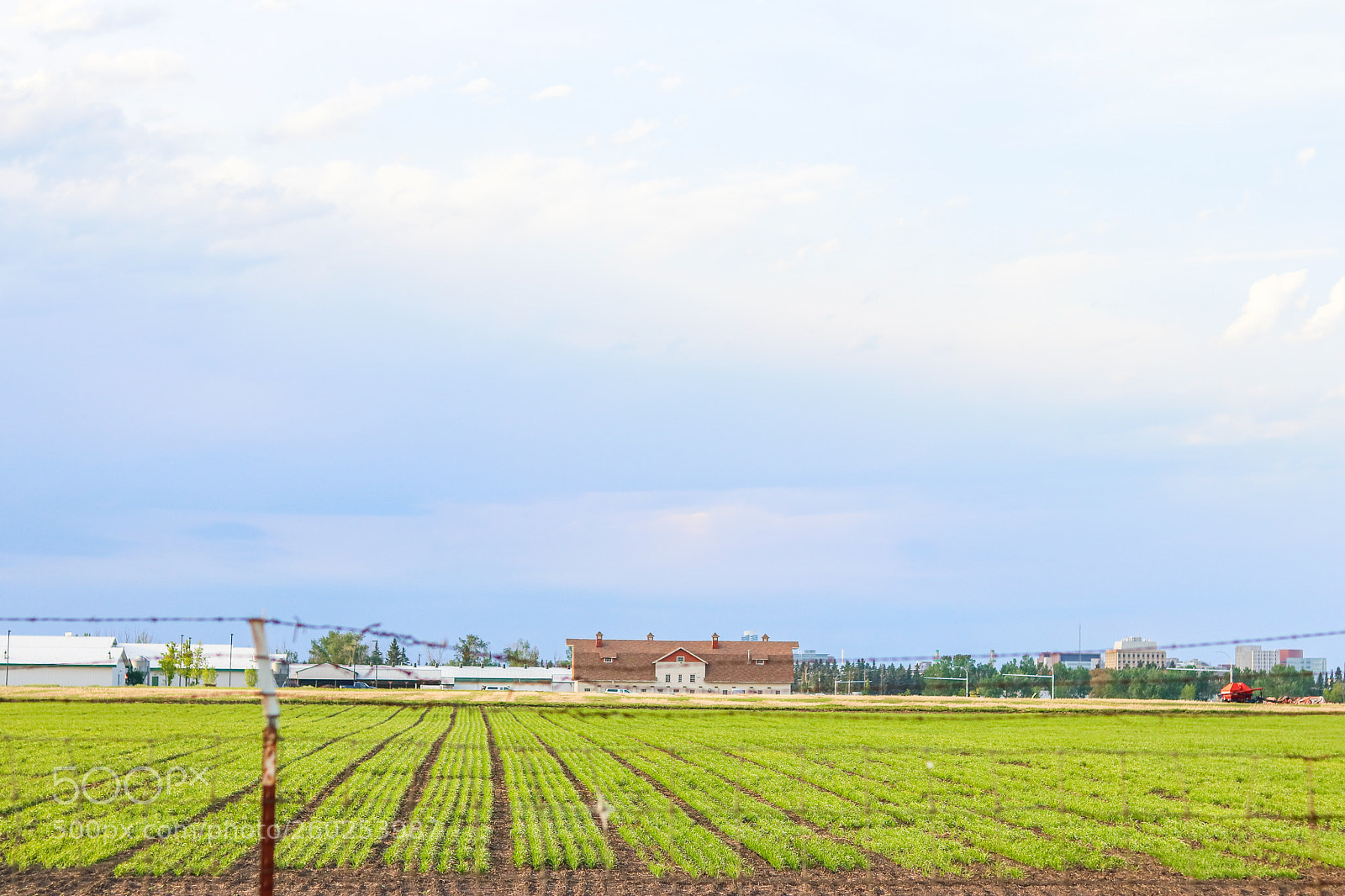 Canon EOS 80D sample photo. Fields (canada) photography
