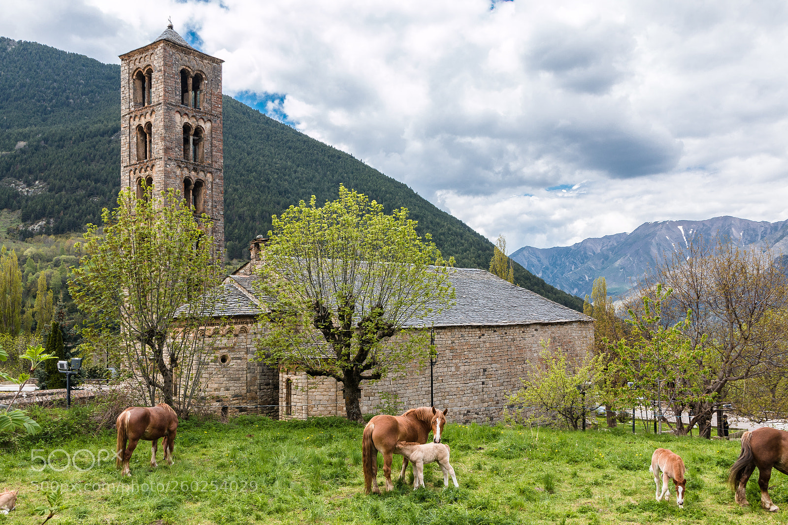 Canon EOS 70D sample photo. Bucolic scenery photography