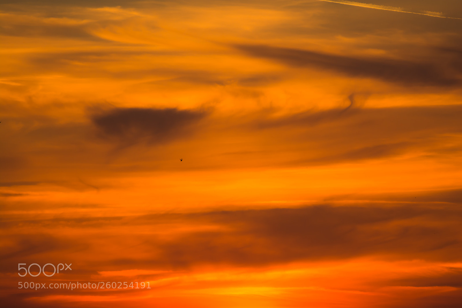 Nikon D7100 sample photo. Sky photography