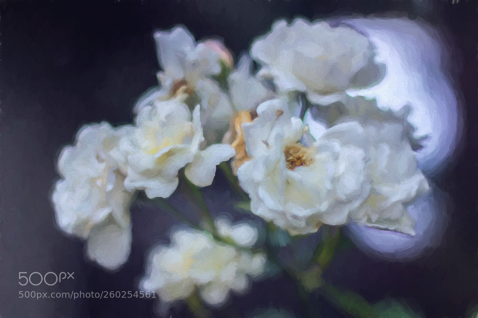 Canon EOS 60D sample photo. Garden photography