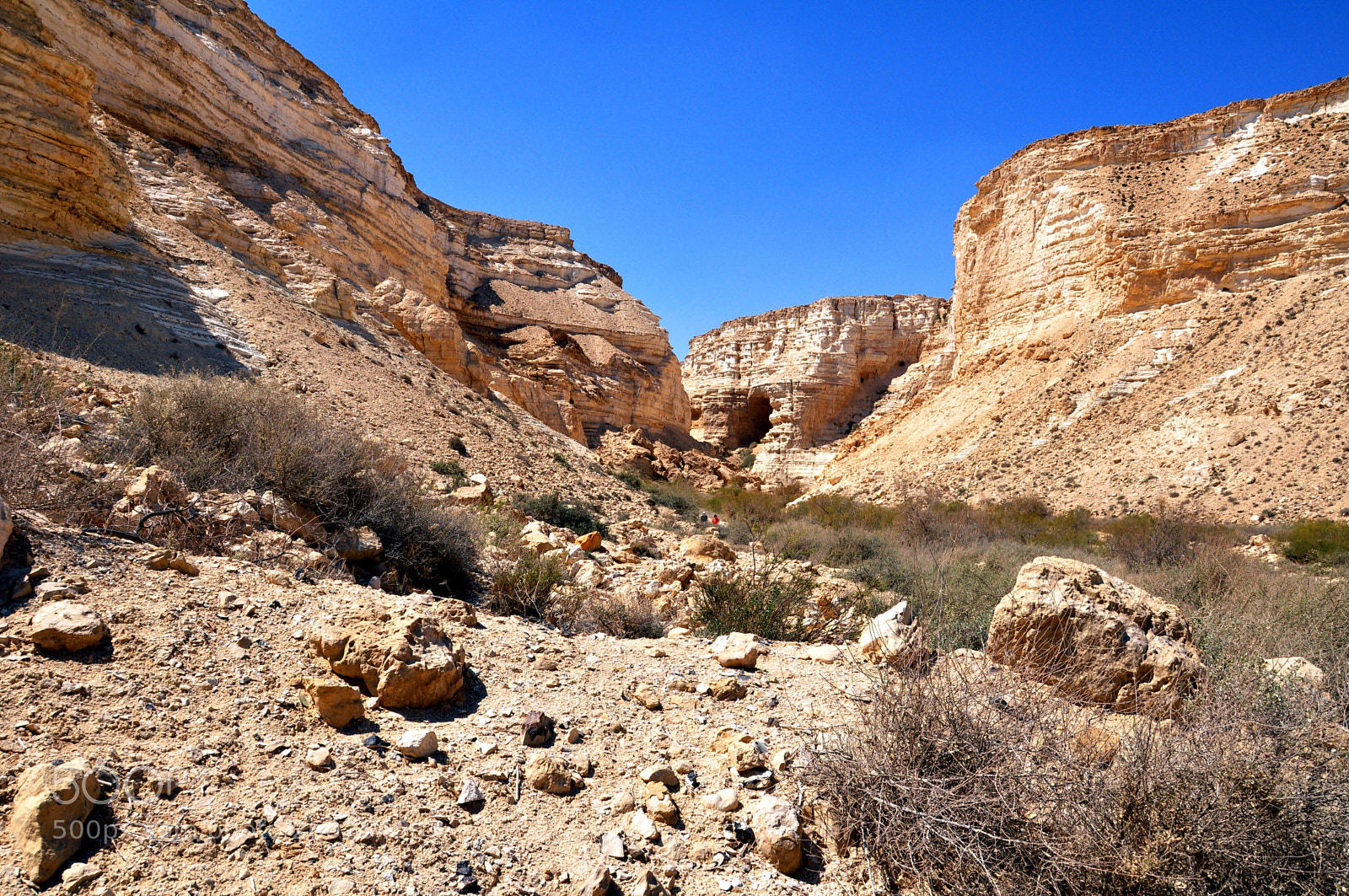 Nikon D90 sample photo. Ein avdat canyon photography