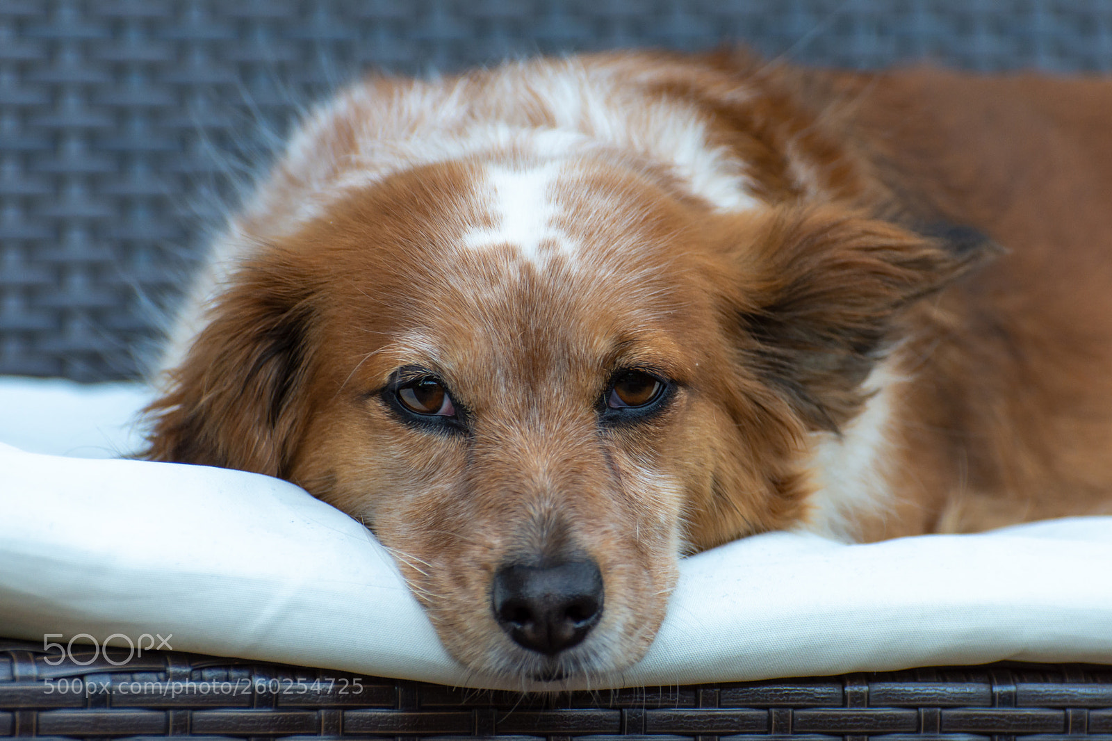 Nikon D7200 sample photo. I worked hard today photography