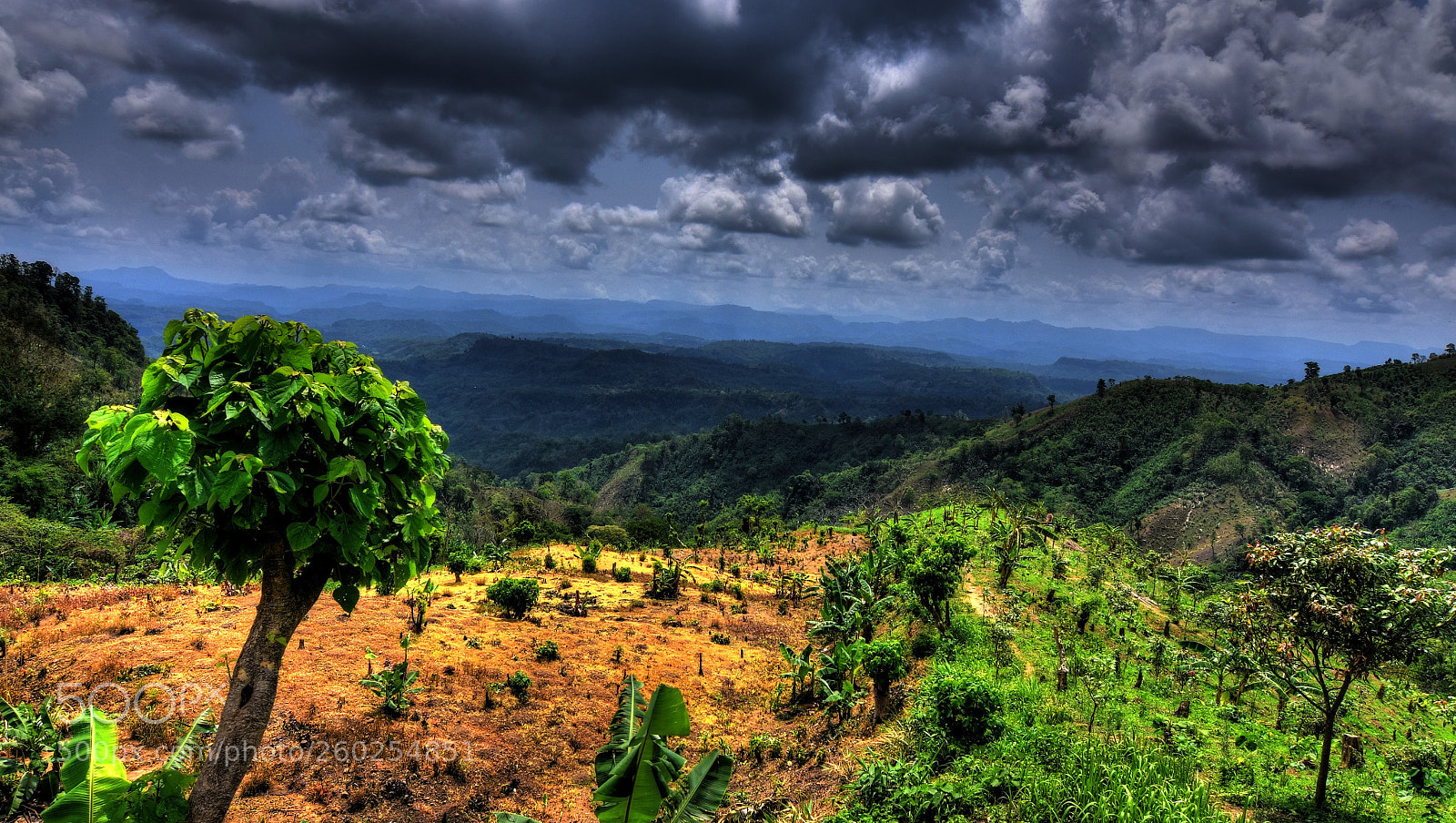 Nikon D7200 sample photo. Blue green yellow hills photography