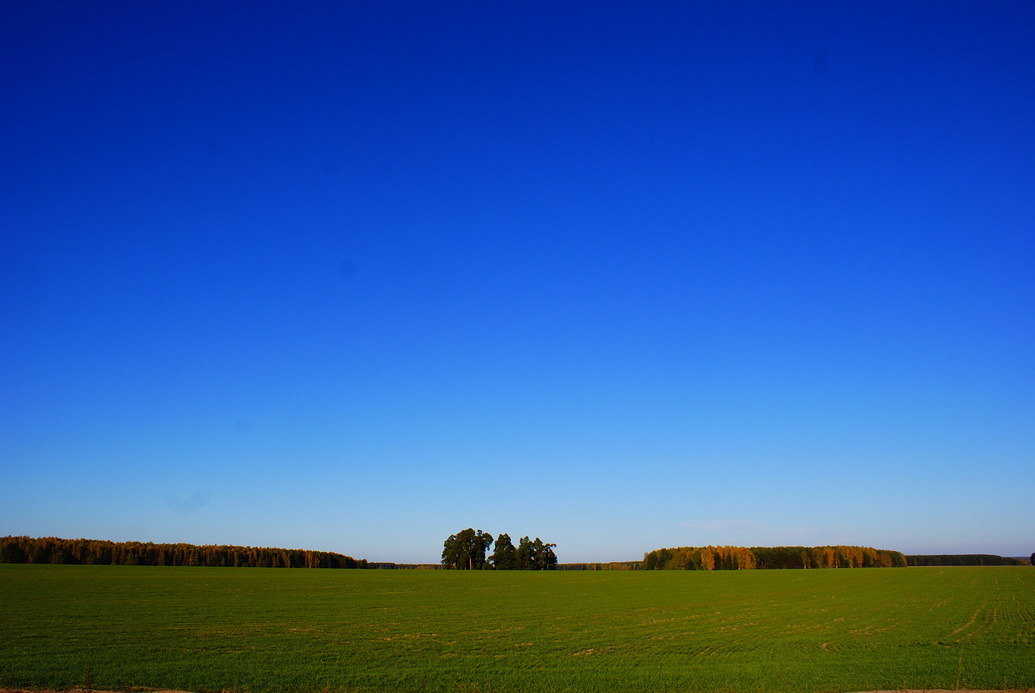 Sony Alpha DSLR-A200 sample photo. ﾾﾻﾵ photography
