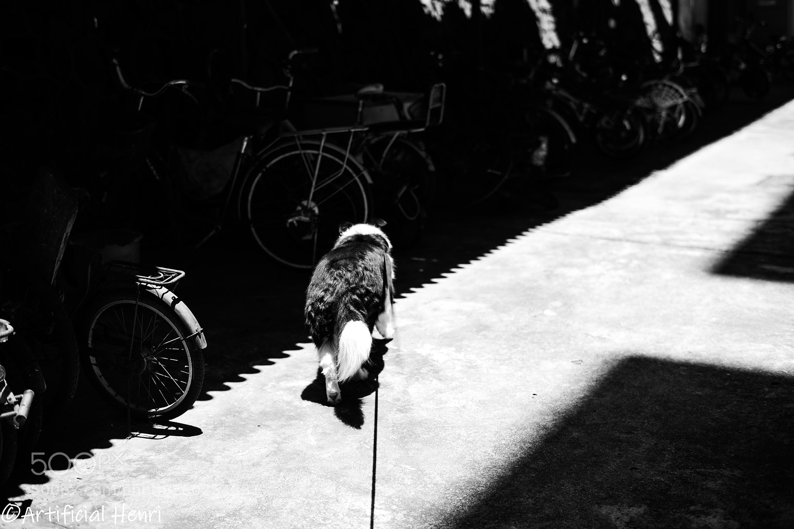 Nikon D800E sample photo. There is no title photography