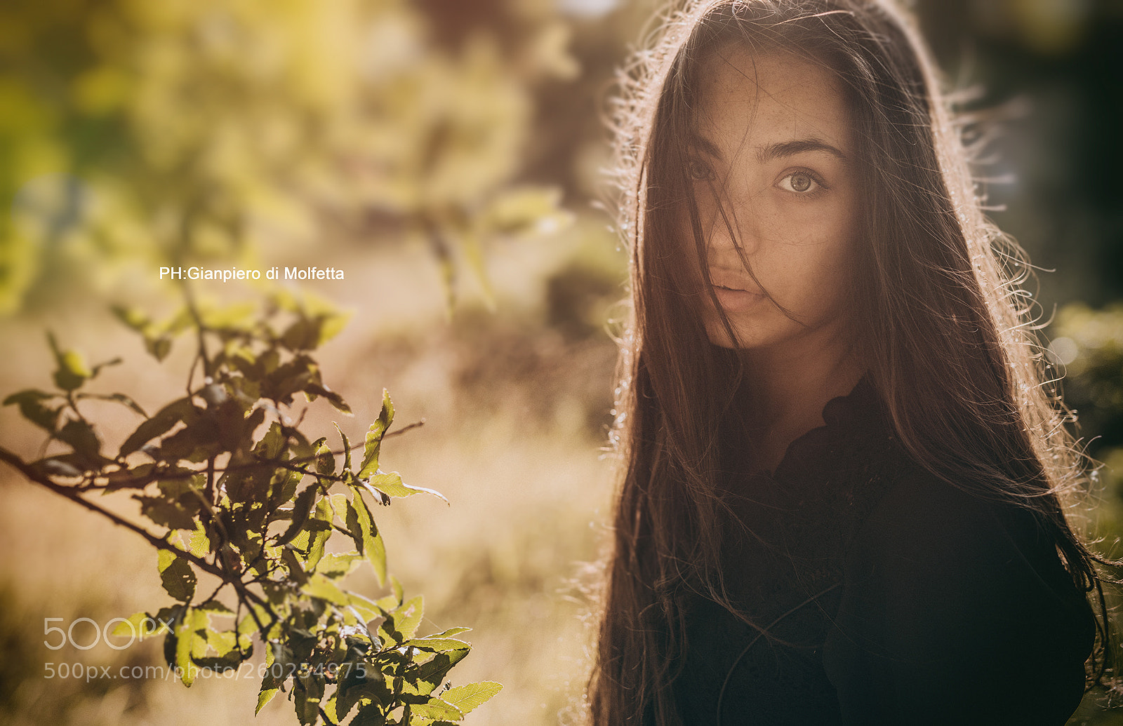 Nikon D810 sample photo. Portrait photography