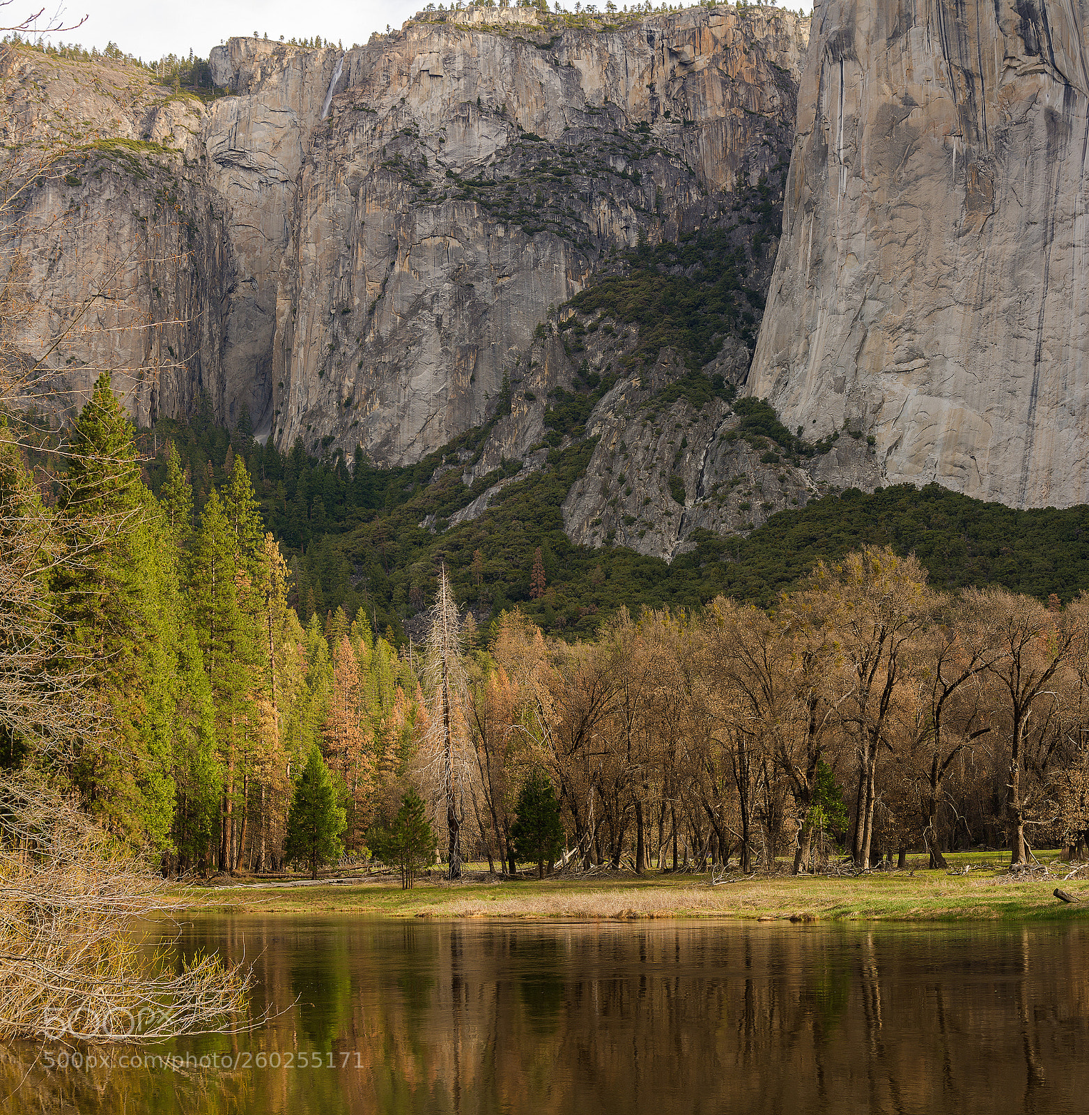 Nikon D7100 sample photo. Quiet running photography