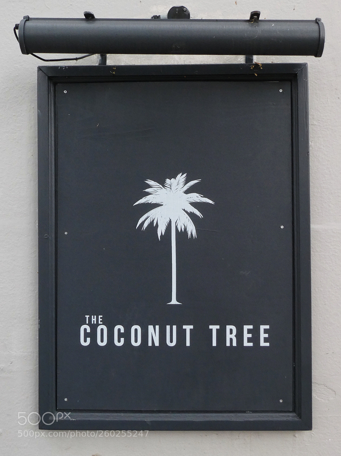 Panasonic Lumix DC-ZS70 (Lumix DC-TZ90) sample photo. Coconut tree photography