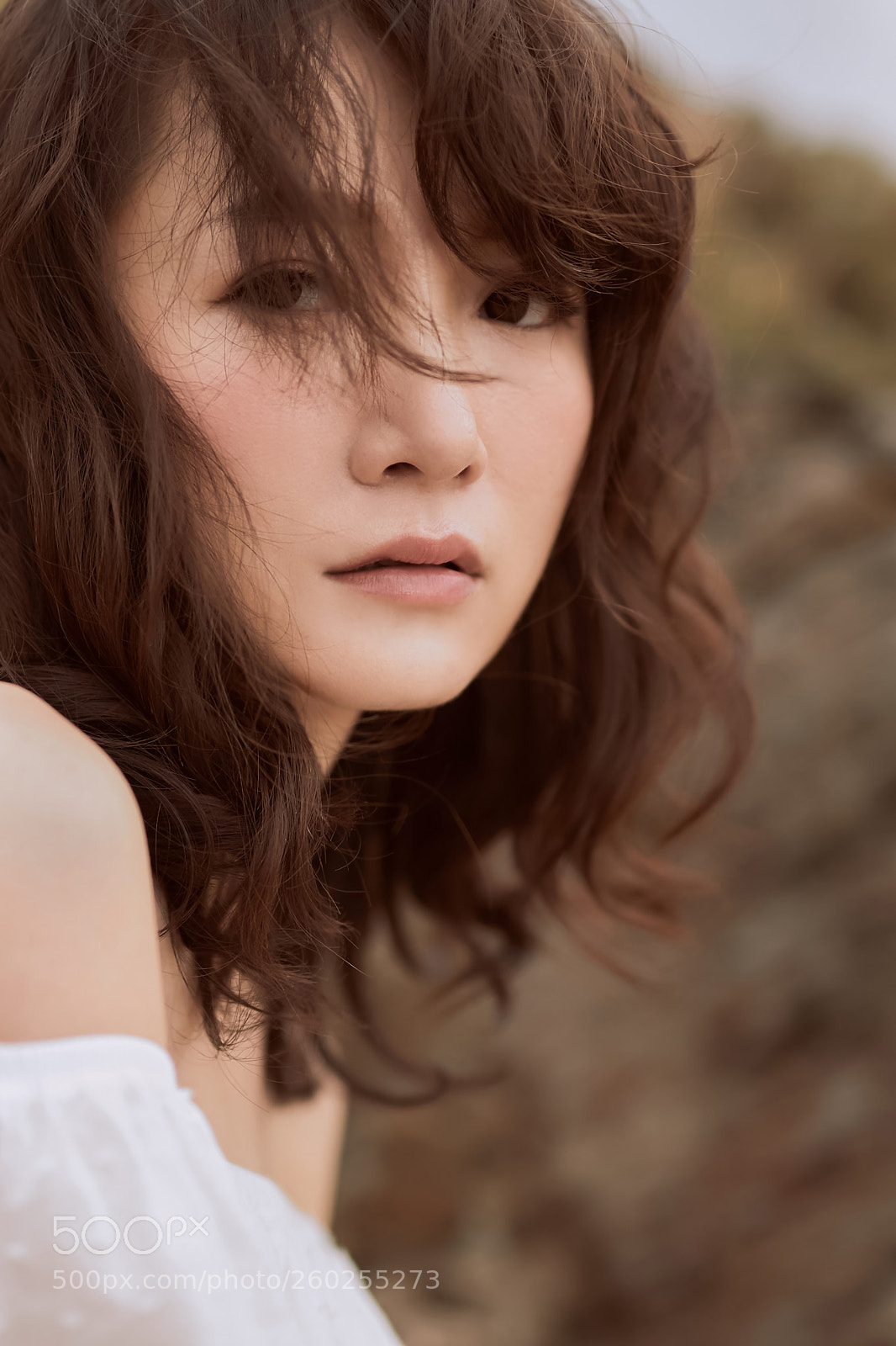 Canon EOS-1D X sample photo. Cheau photography
