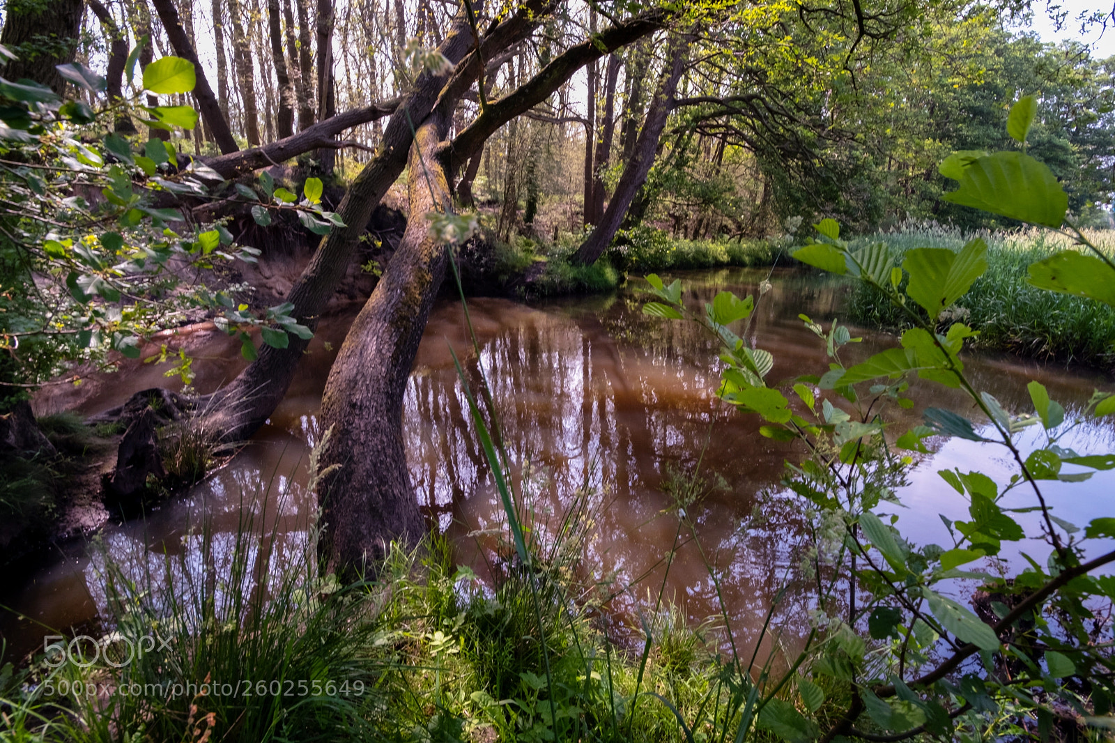 Fujifilm X-H1 sample photo. Dutch landscape photography