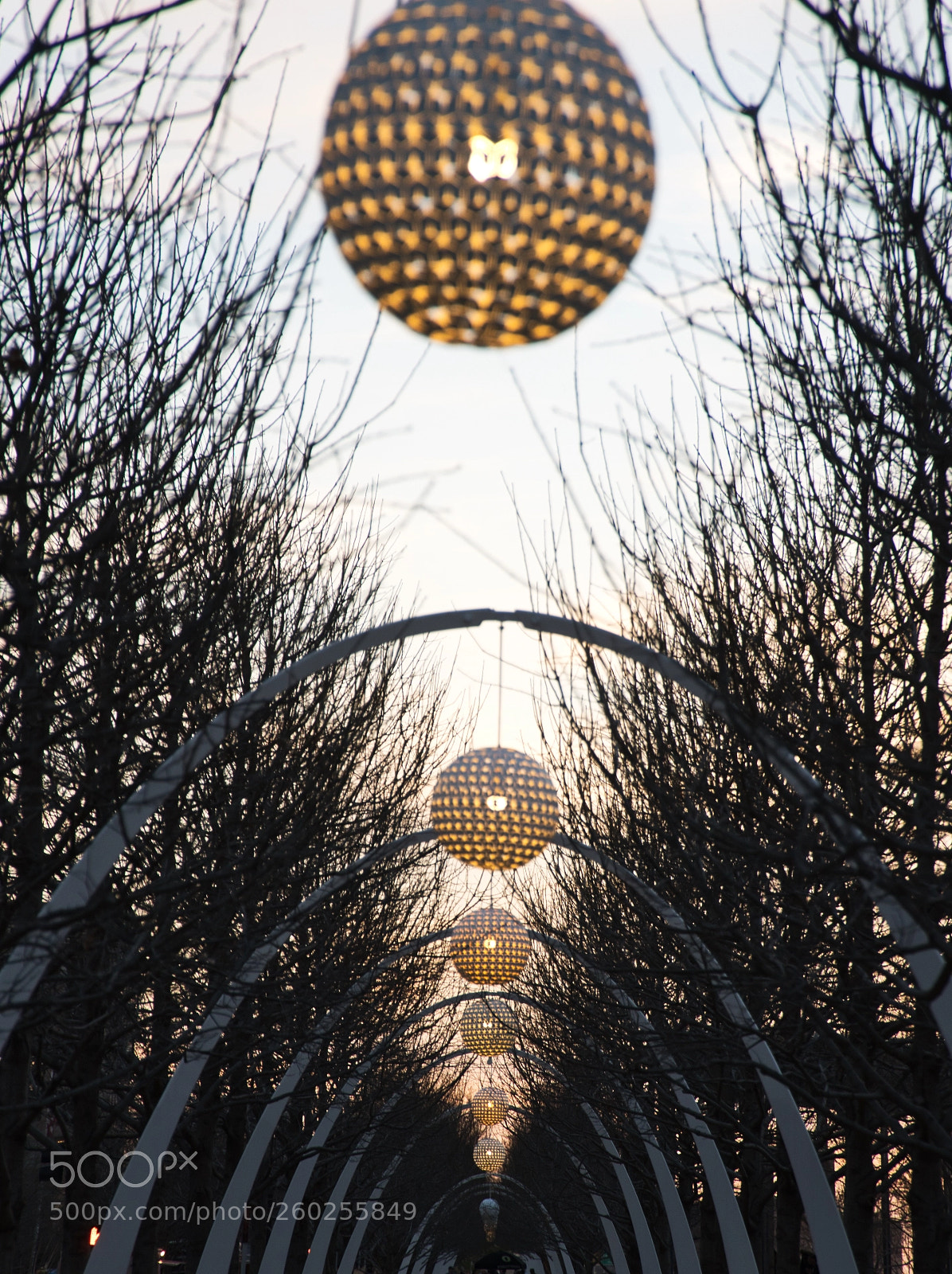 Sony a6500 sample photo. Lights at klyde warren photography