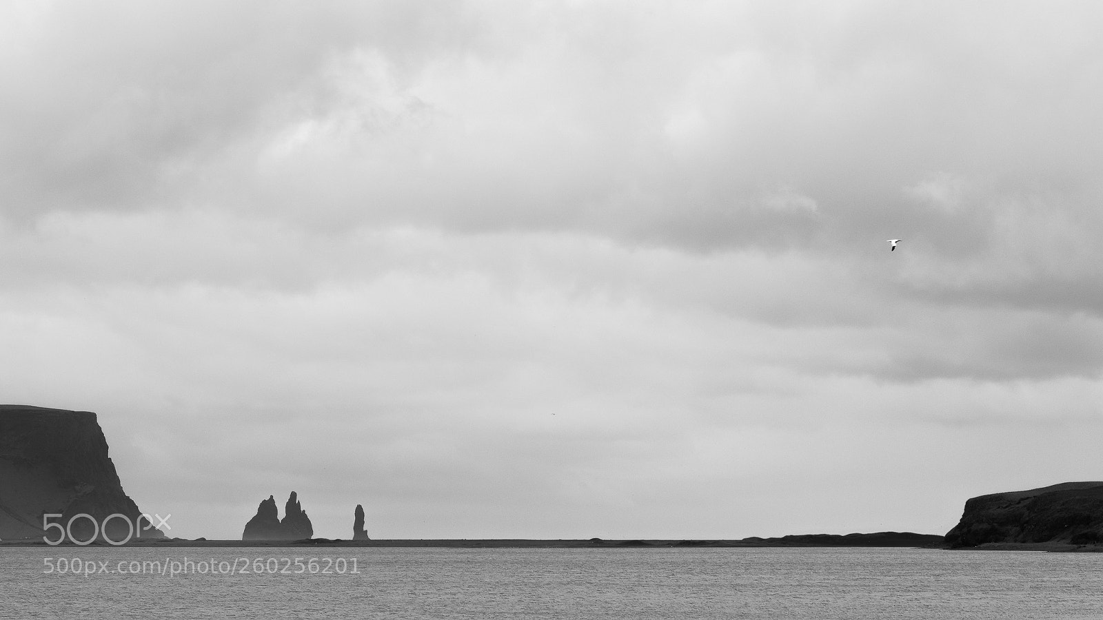 Canon EOS 7D Mark II sample photo. Reynisfjara`s gate photography