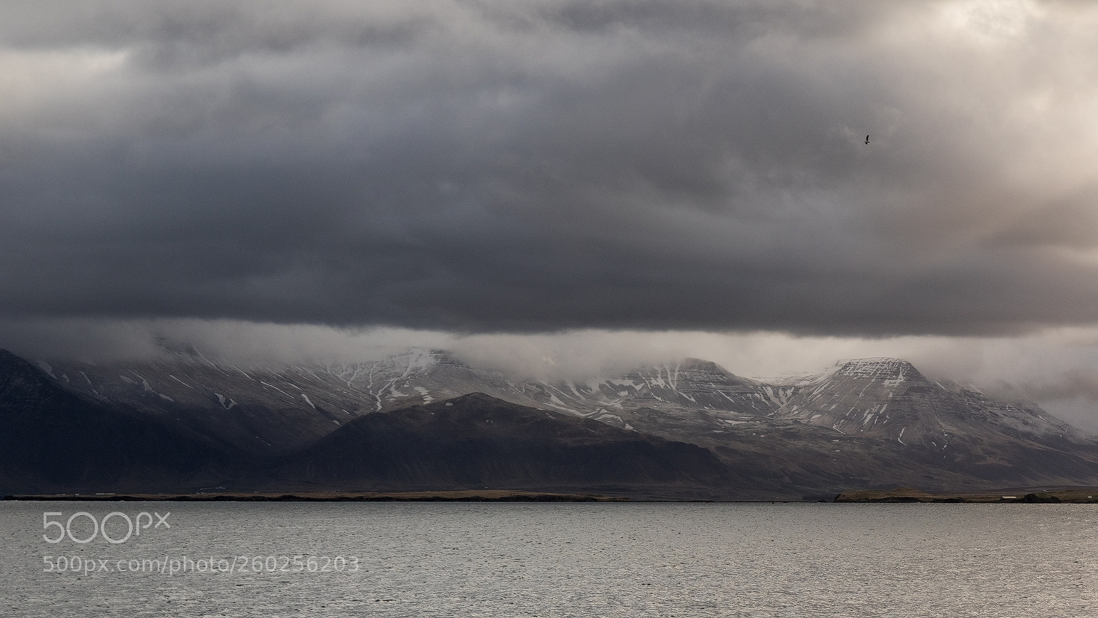 Canon EOS 7D Mark II sample photo. Welcome to iceland photography