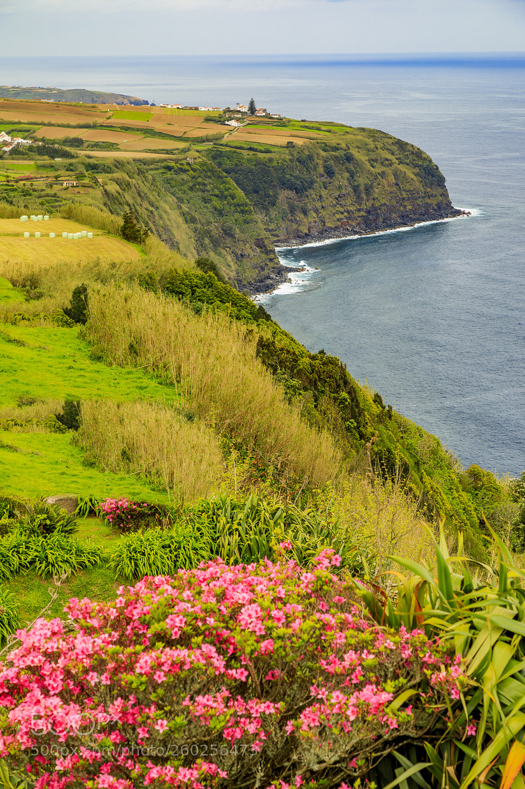 Canon EOS 5D Mark IV sample photo. Açores-são miguel-santana photography