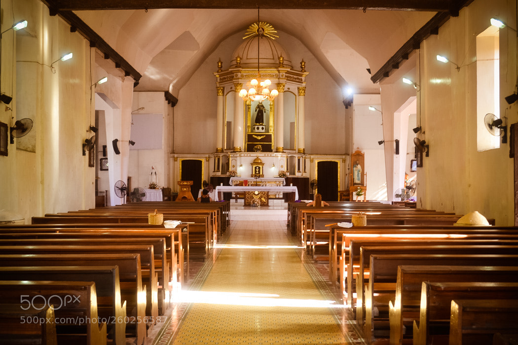 Nikon D3100 sample photo. Saint francis de assisi photography