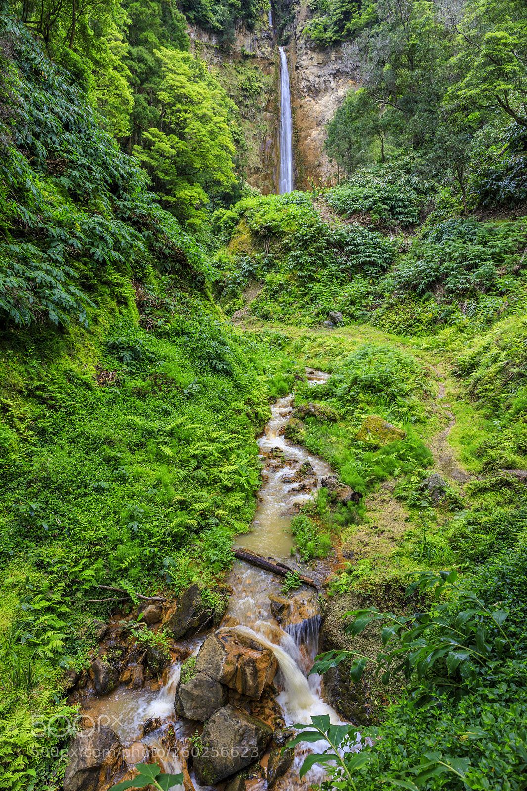 Canon EOS 5D Mark IV sample photo. A ores-s o miguel-cascata photography