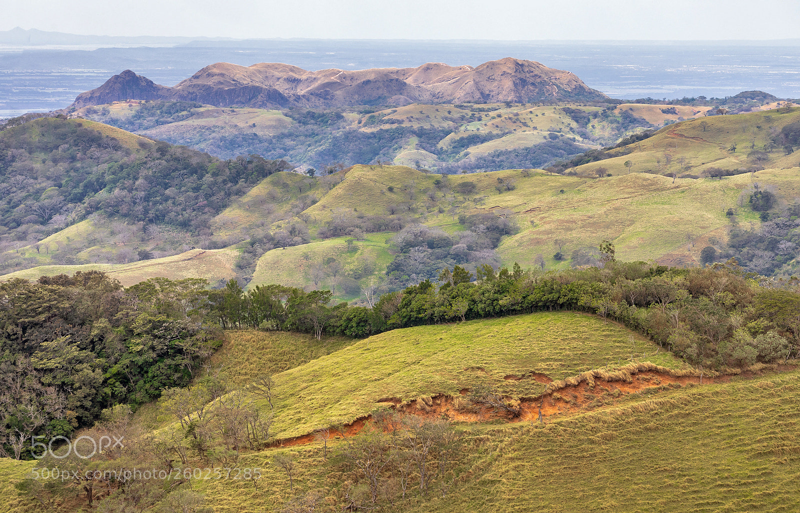 Canon EOS 5D Mark IV sample photo. Mountains from monteverde photography