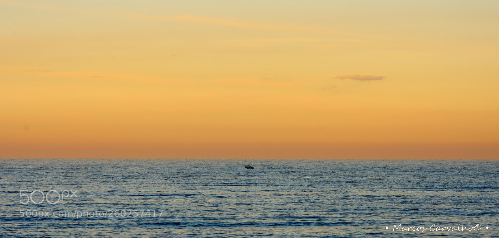 Nikon D7200 sample photo. Sun photography