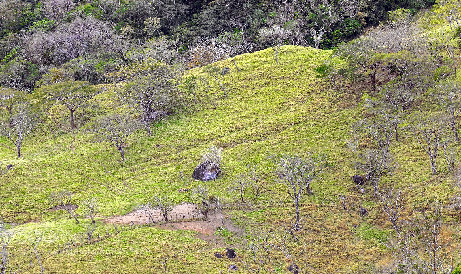 Canon EOS 5D Mark IV sample photo. Mountains from monteverde 2 photography