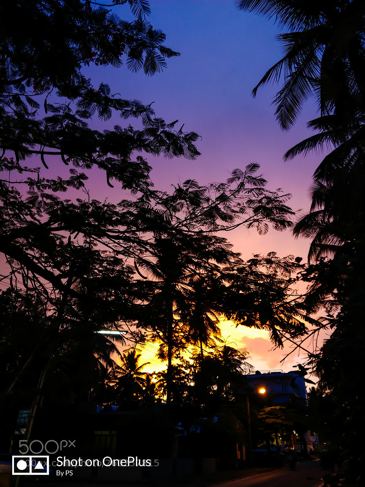 OnePlus 5 sample photo. Evening photography