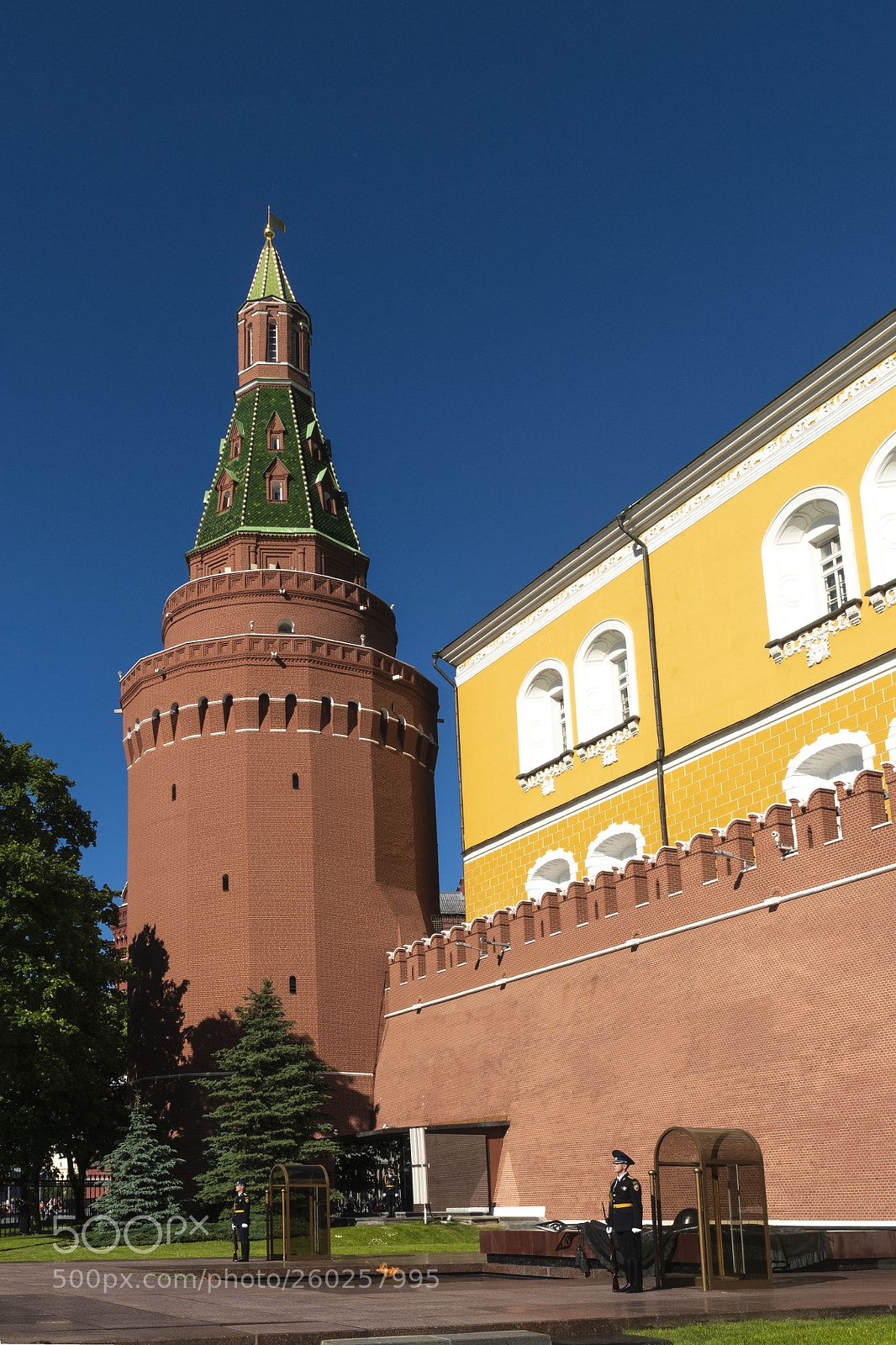 Nikon D500 sample photo. У вечного огня photography