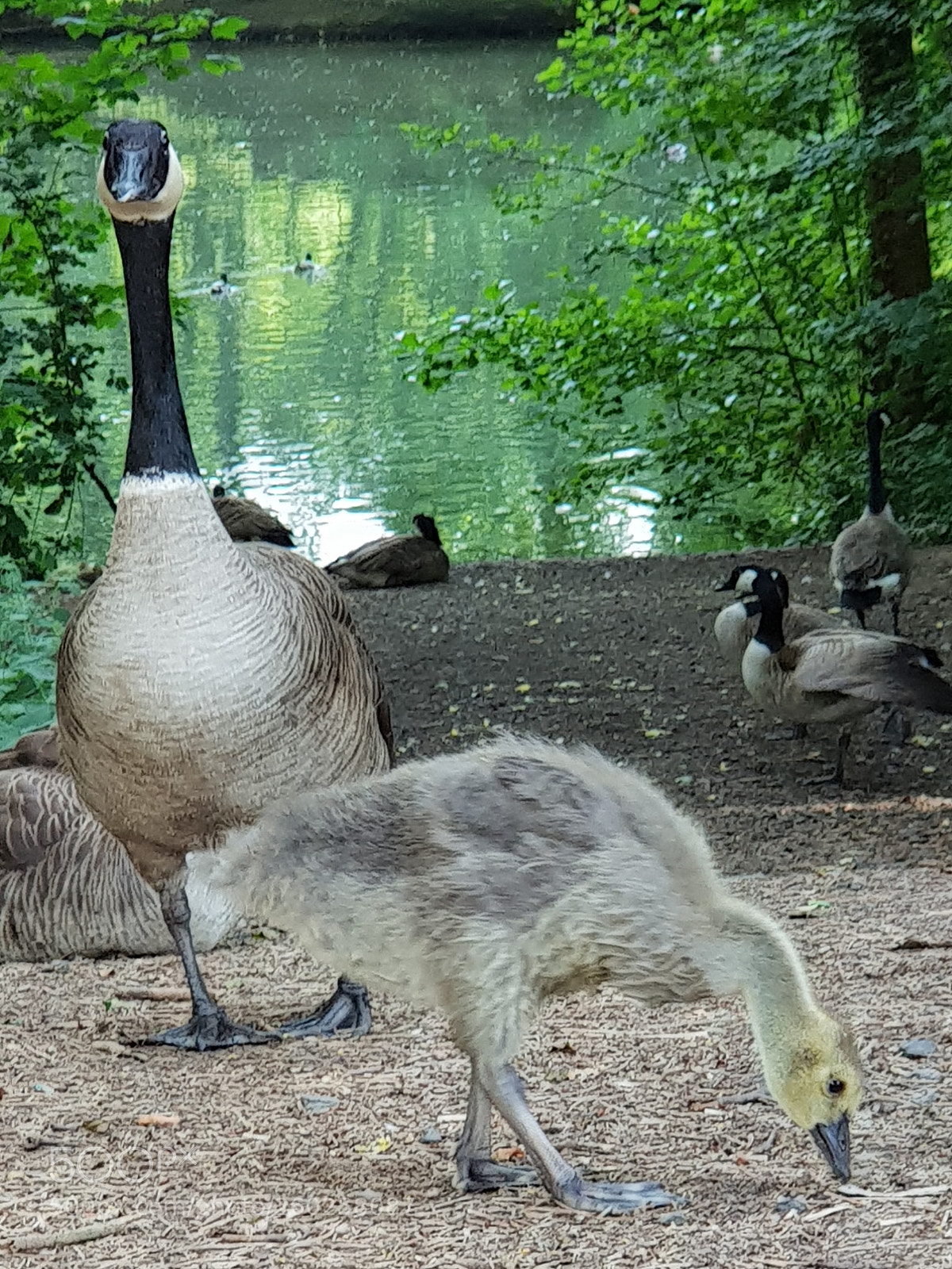 Samsung Galaxy S9+ sample photo. Untitled photography